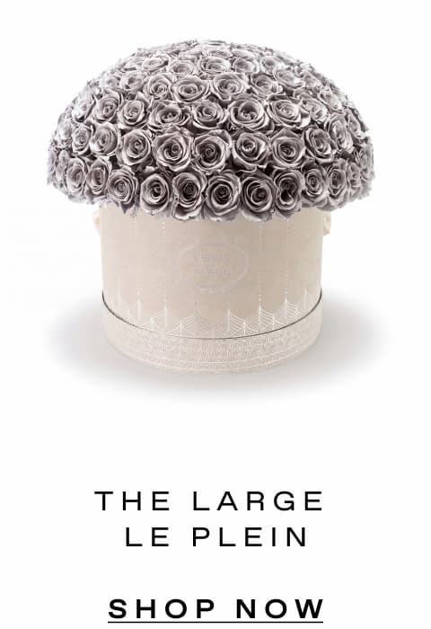 THE LARGE LE PLEIN