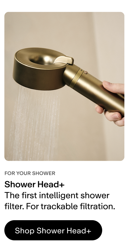 Shop Shower Head+