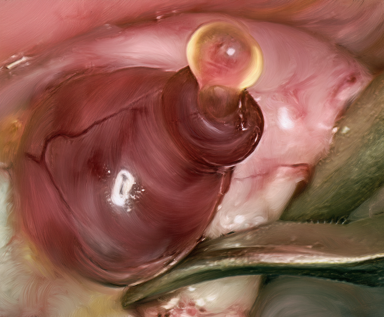 A human egg emerging from the ovary during ovulation