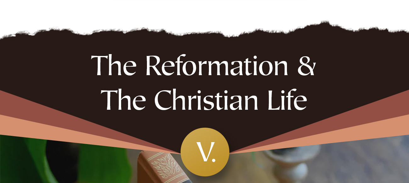 Where would the Reformation be without books? In the centuries leading up to the Reformation, ordinary believers couldn’t study God’s Word in their own language. The Reformation changed that, and books were the vehicle God used to help the church recover the heart of the gospel message. This year, to celebrate Reformation Day, we’re kicking off a special series of promotions to help Christians of every age know the Bible and love the gospel. The Reformers’ writings and Tyndale’s New Testament carried the gospel into ordinary homes. We pray these books do the same in yours.