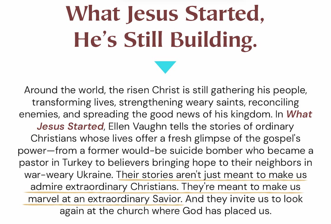 Around the world, the risen Christ is still gathering his people, transforming lives, strengthening weary saints, reconciling enemies, and spreading the good news of his kingdom. In What Jesus Started, Ellen Vaughn tells the stories of ordinary Christians whose lives offer a fresh glimpse of the gospel's power—from a former would-be suicide bomber who became a pastor in Turkey to believers bringing hope to their neighbors in war-weary Ukraine. Their stories aren't just meant to make us admire extraordinary Christians. They're meant to make us marvel at an extraordinary Savior. And they invite us to look again at the church where God has placed us.