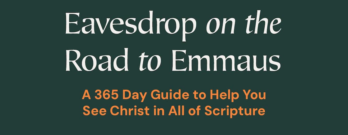 Nancy Guthrie Provides 365 Daily Bible Reading Introductions That Equip Readers to Understand Each Day's Passage and What It Uniquely Reveals About Christ  Each book of the Bible is a chance to encounter Jesus, and every day of the year is an opportunity to seek him more deeply. In Beholding Christ, Bible teacher and bestselling author Nancy Guthrie offers 365 daily Bible reading introductions that provide background, context, and perspective to guide the reader into greater understanding of each day's text as well as insight on how the passage uniquely reveals the person and work of Christ.  Drawing upon Guthrie's years of experience as a Bible teacher and her passion for seeing Christ in all the scriptures, each day's reading begins with a statement about Christ that arises from the text, though it may not be immediately on the surface. In the reading introduction, she explains unfamiliar characters, events, and cultural realities; draws out biblical-theological themes; and emphasizes how the chapters fit into the bigger story of redemptive history. She then lists key words and ideas to look for as you read, as well as encouragement in how to respond in prayer, personal examination, meditation, and worship.  While Beholding Christ: A Daily Guide to Seeing Jesus in All of Scripture is designed to be a companion to whatever Bible you use, the ESV Beholding Christ Bible, which includes these instructive readings interspersed within the full ESV text, is also available. Beholding Christ will help you persevere in reading through the Bible in its entirety with a better understanding of what you're reading and with a greater focus on how it reveals the beauty, necessity, and sufficiency of Christ.
