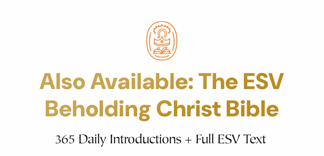 Nancy Guthrie Provides 365 Daily Bible Reading Introductions That Equip Readers to Understand Each Day's Passage and What It Uniquely Reveals About Christ  Each book of the Bible is a chance to encounter Jesus, and every day of the year is an opportunity to seek him more deeply. In Beholding Christ, Bible teacher and bestselling author Nancy Guthrie offers 365 daily Bible reading introductions that provide background, context, and perspective to guide the reader into greater understanding of each day's text as well as insight on how the passage uniquely reveals the person and work of Christ.  Drawing upon Guthrie's years of experience as a Bible teacher and her passion for seeing Christ in all the scriptures, each day's reading begins with a statement about Christ that arises from the text, though it may not be immediately on the surface. In the reading introduction, she explains unfamiliar characters, events, and cultural realities; draws out biblical-theological themes; and emphasizes how the chapters fit into the bigger story of redemptive history. She then lists key words and ideas to look for as you read, as well as encouragement in how to respond in prayer, personal examination, meditation, and worship.  While Beholding Christ: A Daily Guide to Seeing Jesus in All of Scripture is designed to be a companion to whatever Bible you use, the ESV Beholding Christ Bible, which includes these instructive readings interspersed within the full ESV text, is also available. Beholding Christ will help you persevere in reading through the Bible in its entirety with a better understanding of what you're reading and with a greater focus on how it reveals the beauty, necessity, and sufficiency of Christ.