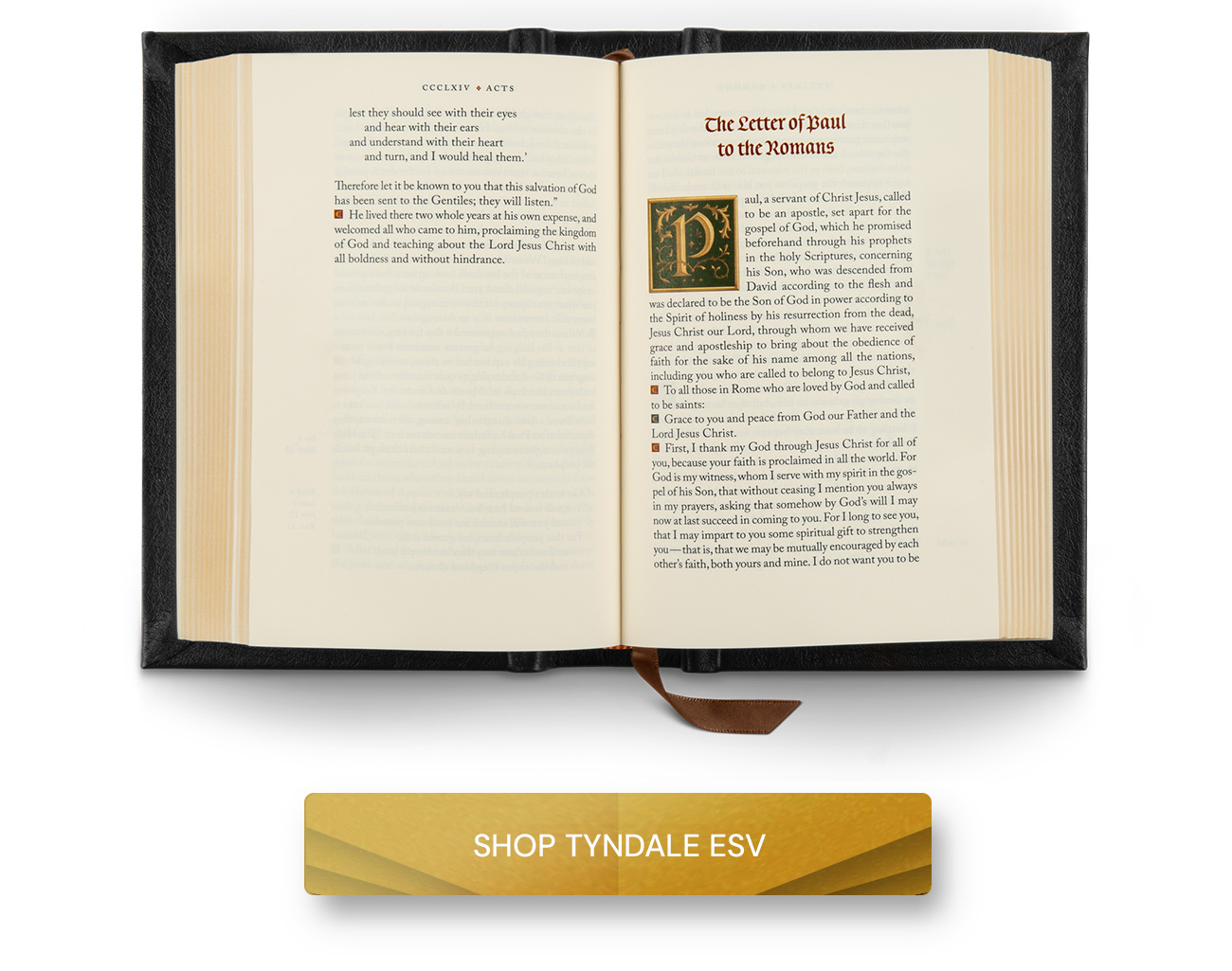 Shop Tyndale ESV