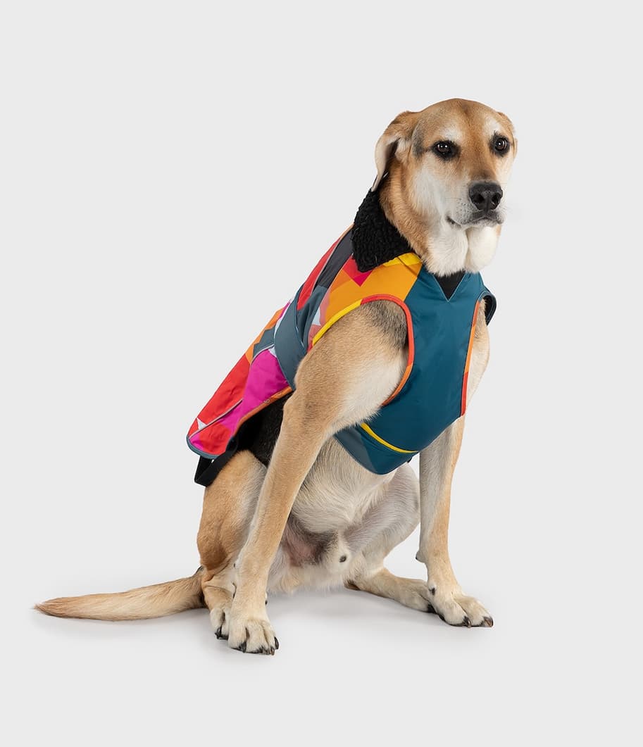 Dryrobe® Dog Coat Abstract