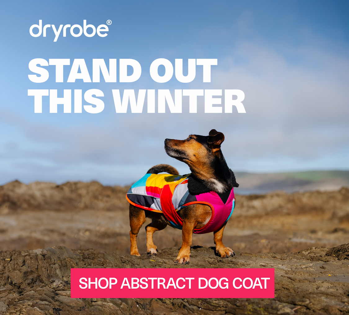 Dog on the beach wearing the Dryrobe® Dog Coat Abstract