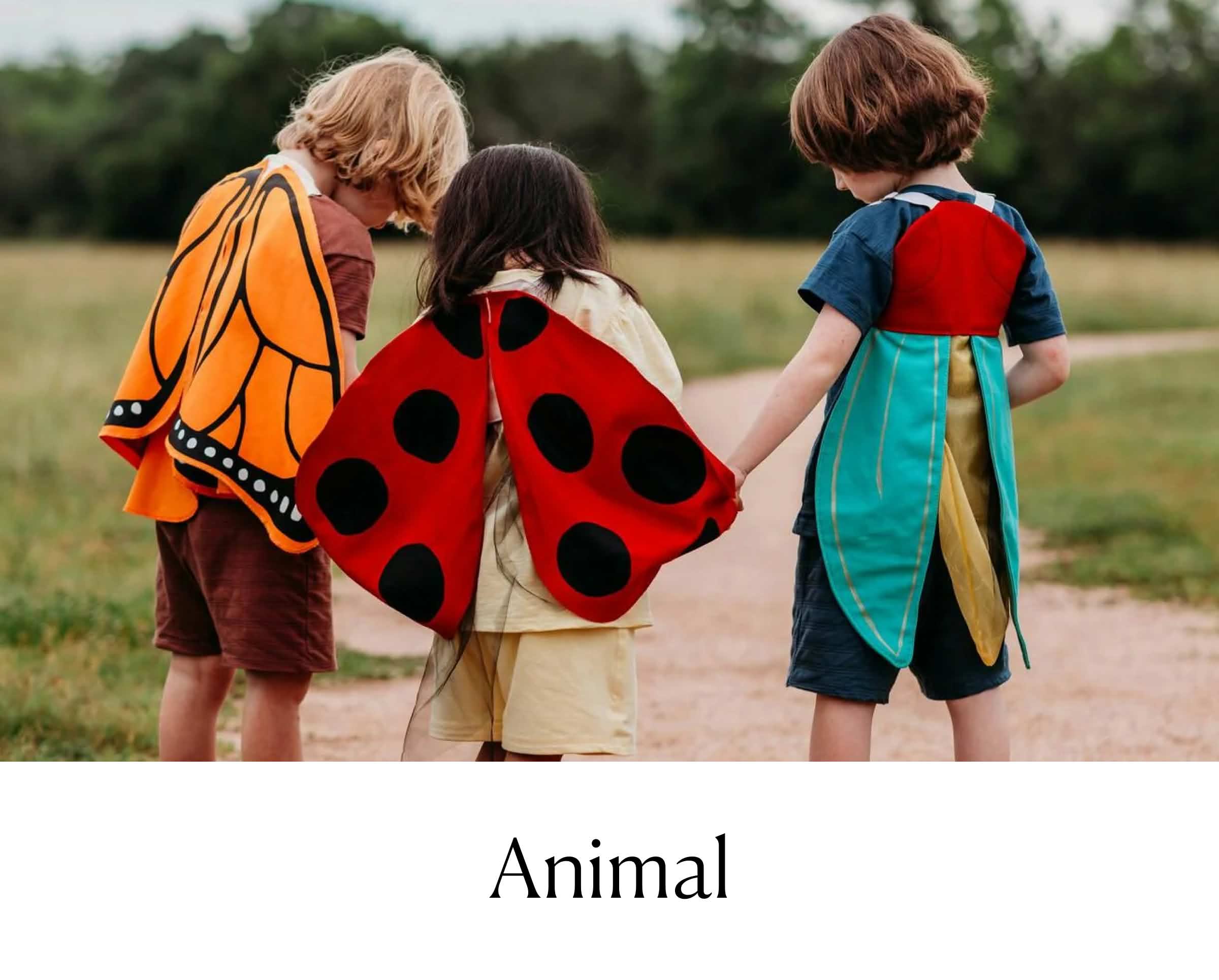 Animal