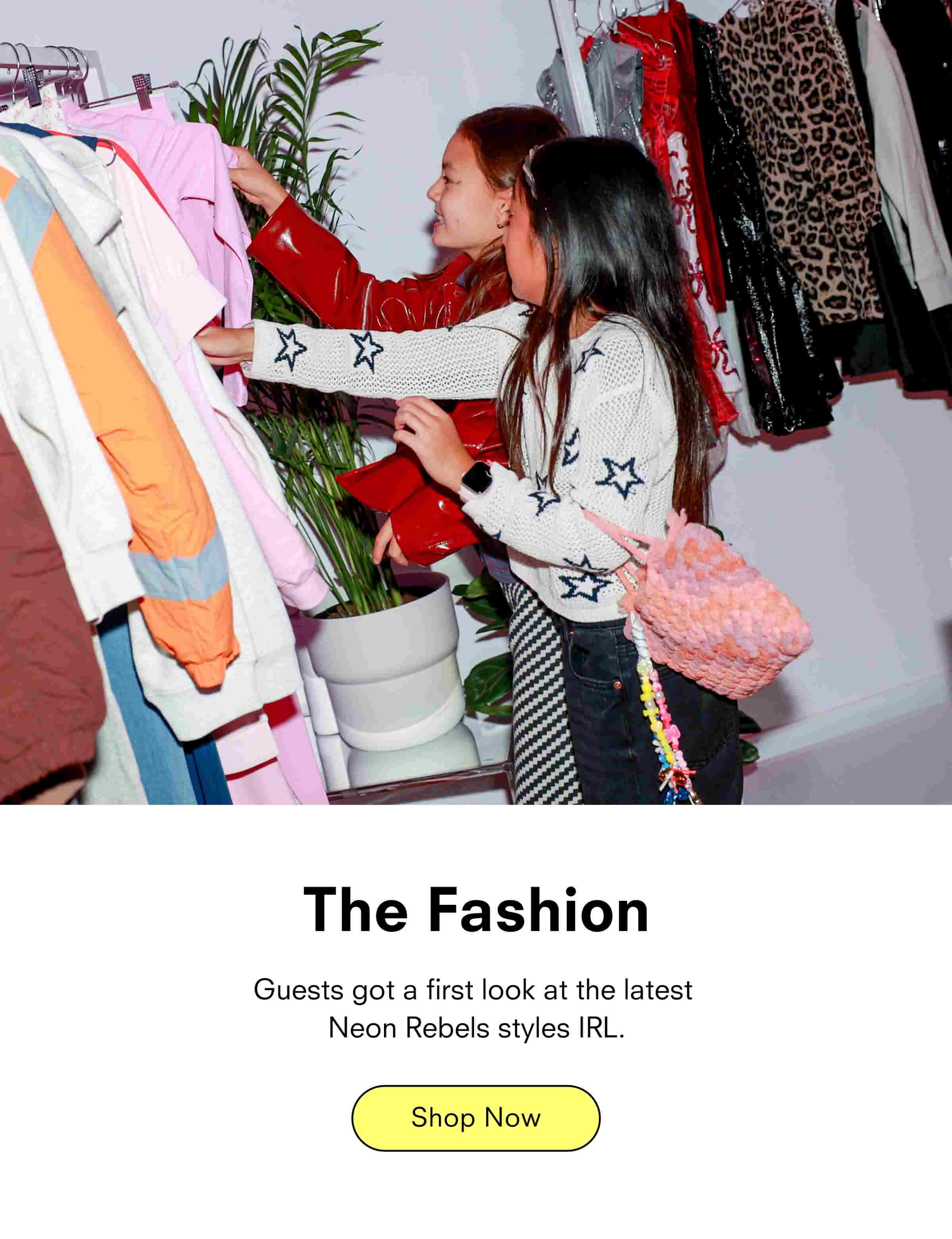 The Fashion