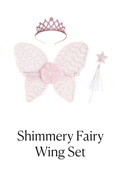 Shimmery Fairy Wing Set