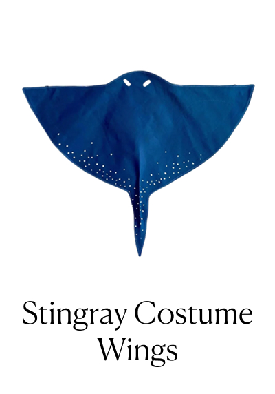 Stingray Costume Wings