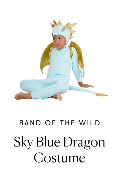 Band of the Wild: Sky Blue Dragon Costume