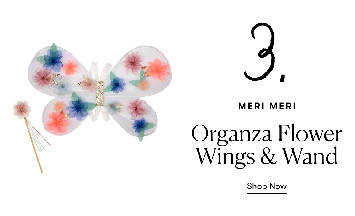 Meri Meri: Organza Flower Wings & Wand
