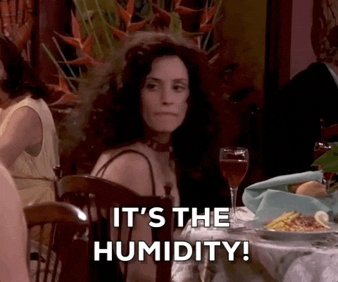 Original Founder Friday humidity reaction GIF