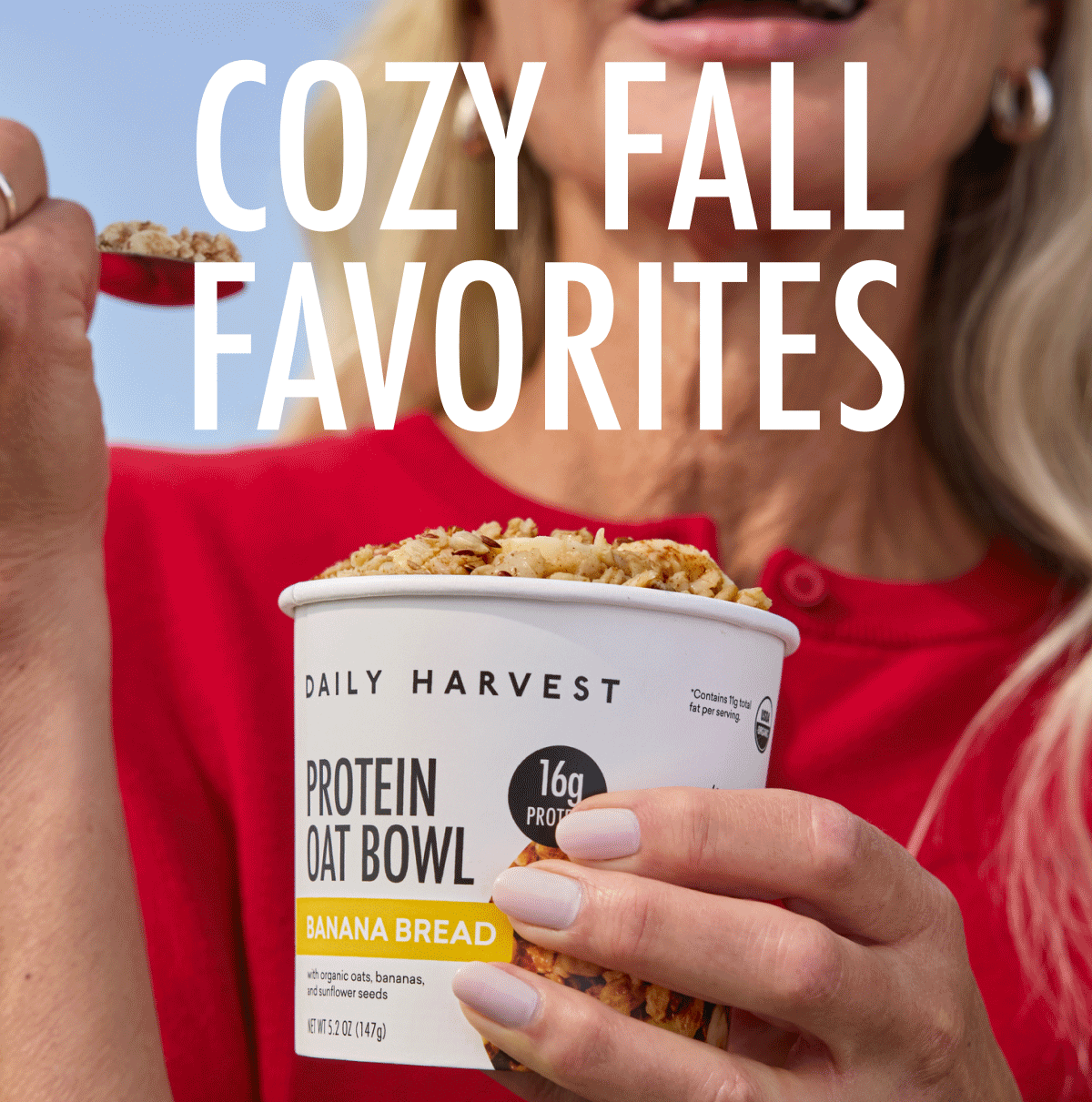 COZY FALL FAVORITES