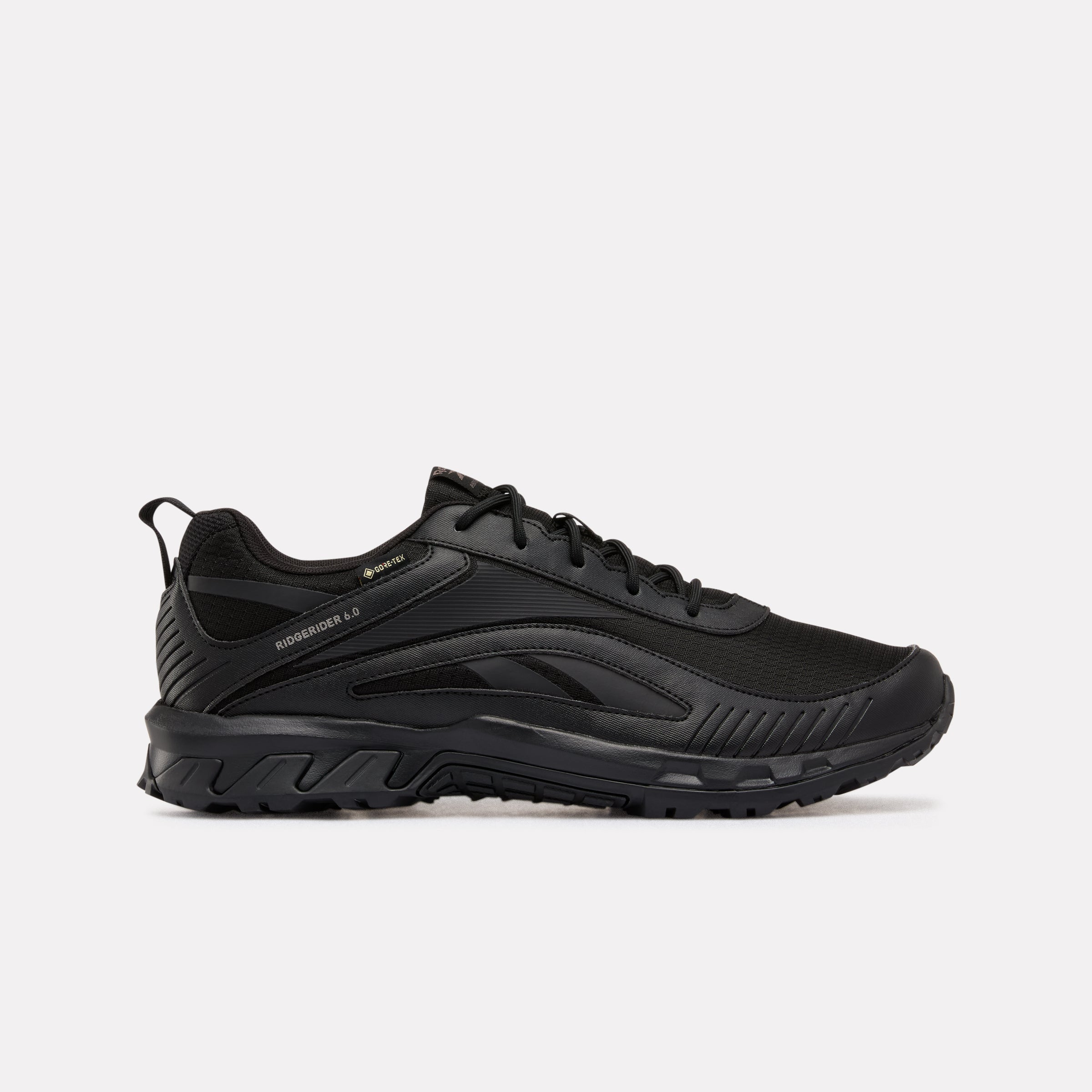 Ridgerider 6 GTX Hiking Shoes 
