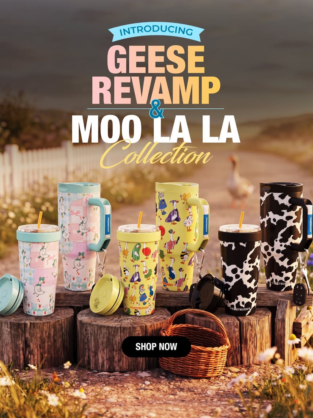 Introducing the Geese Revamp & Moo La La Collection. Shop now.