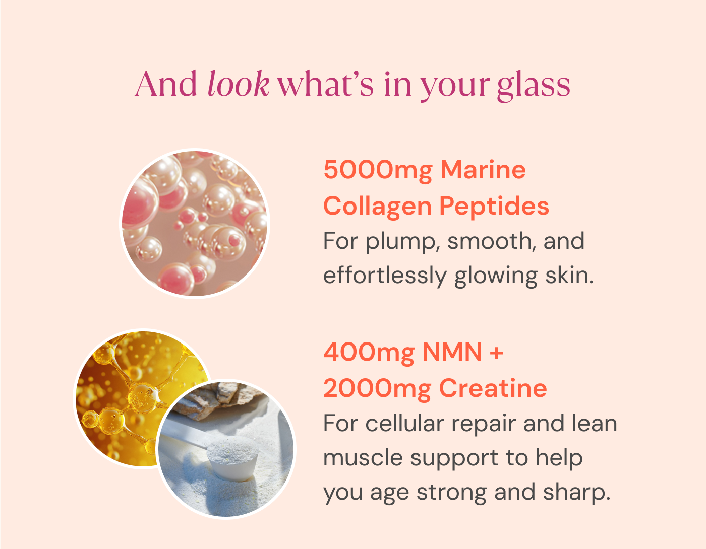 What's in your glass: 5000mg Marine Collagen Peptides, plus 400mg NMN and 2000mg Creatine.