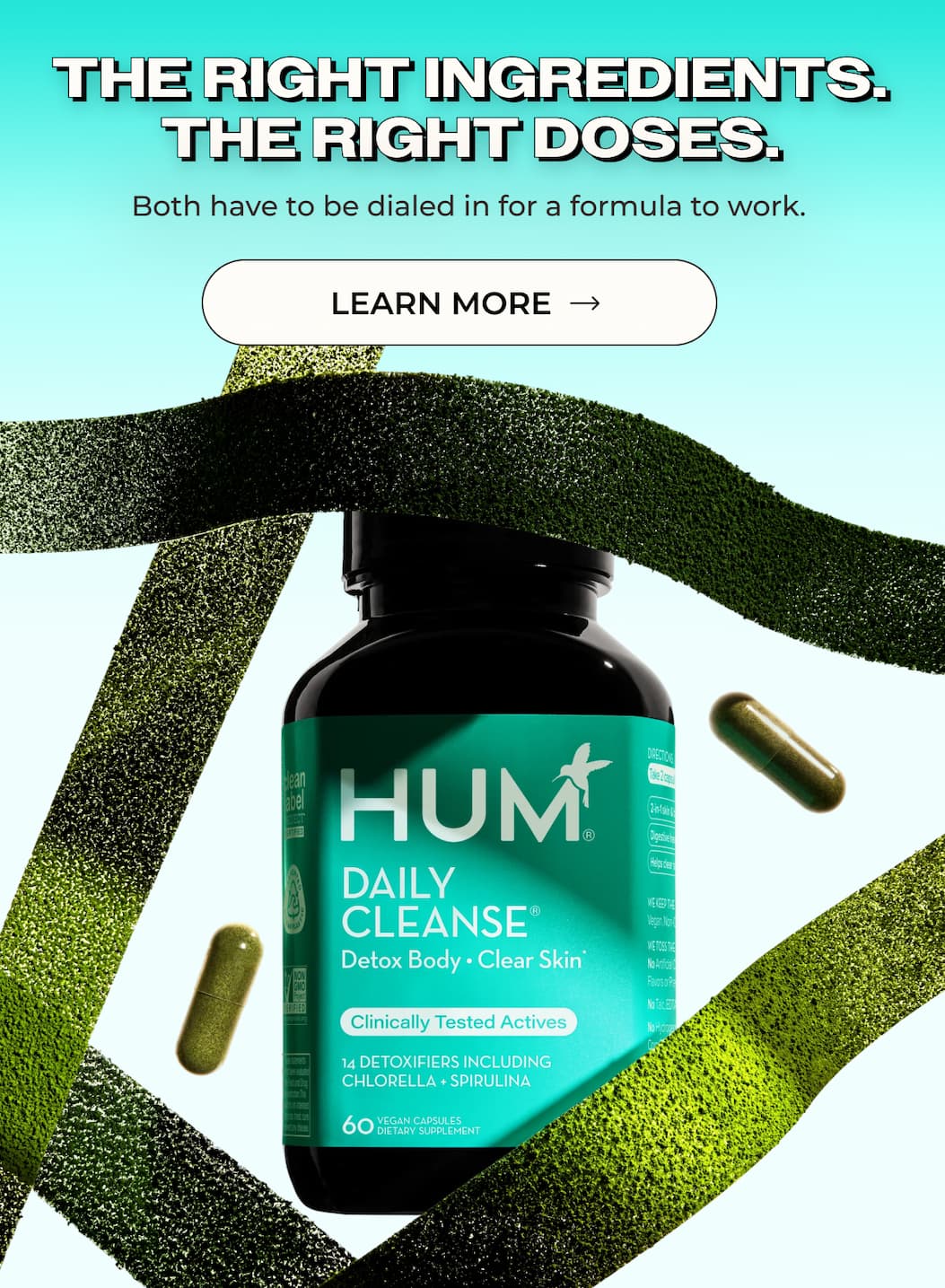 Daily Cleanse - The Right Ingredients
