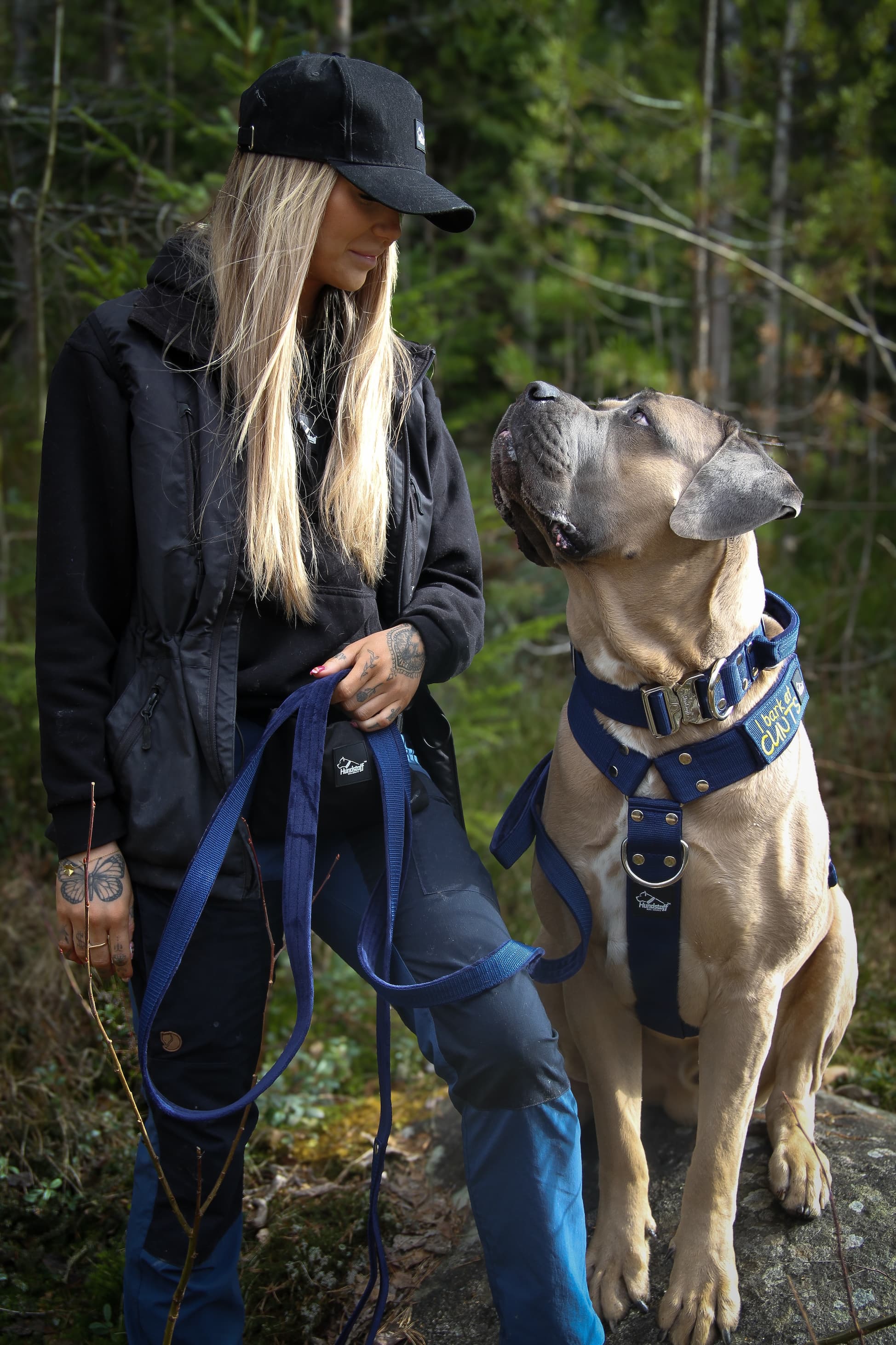 Hundstaff Komplett-Set: Geschirr, Halsband und Leine am Cane Corso