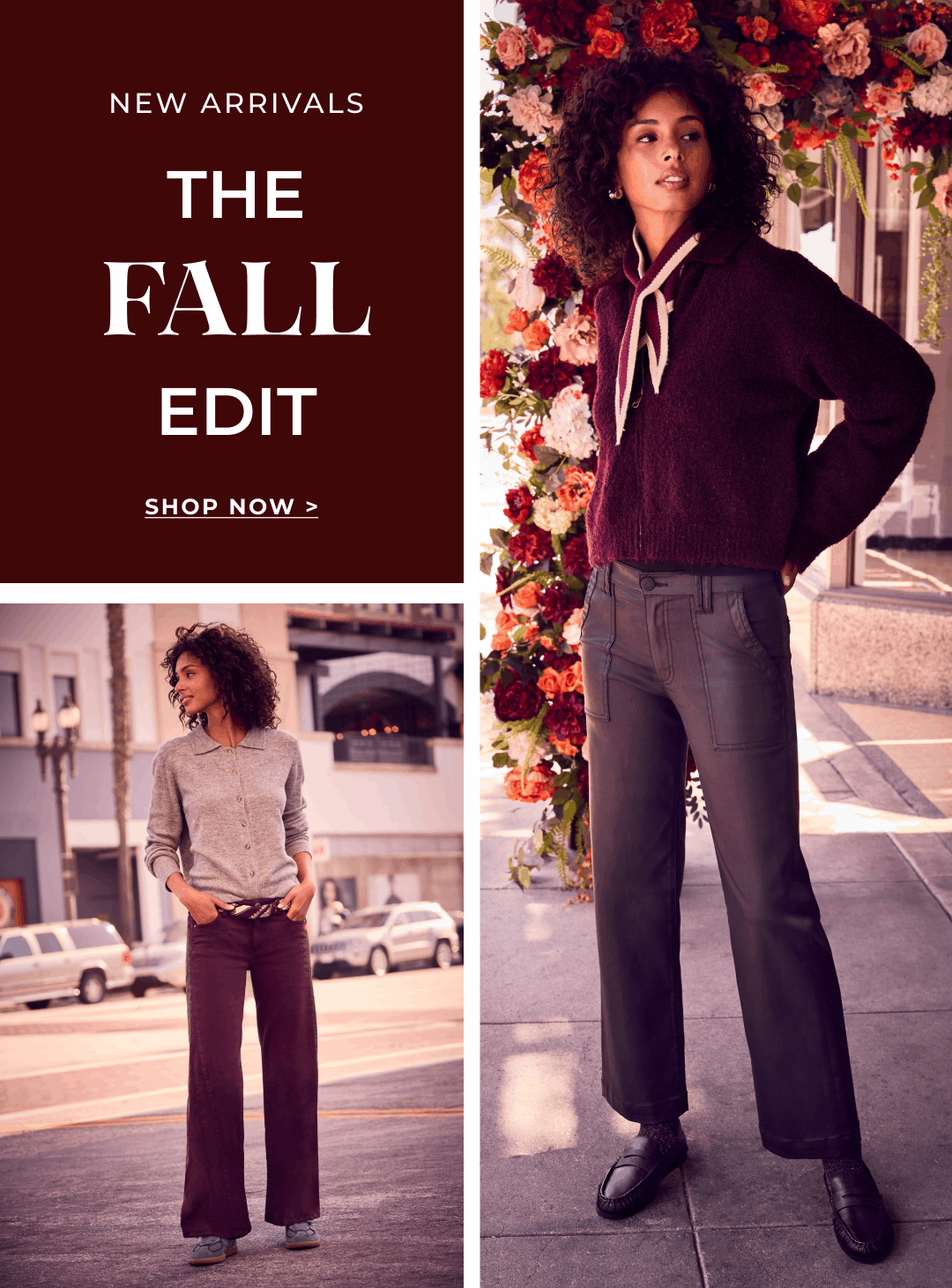 Shop Now