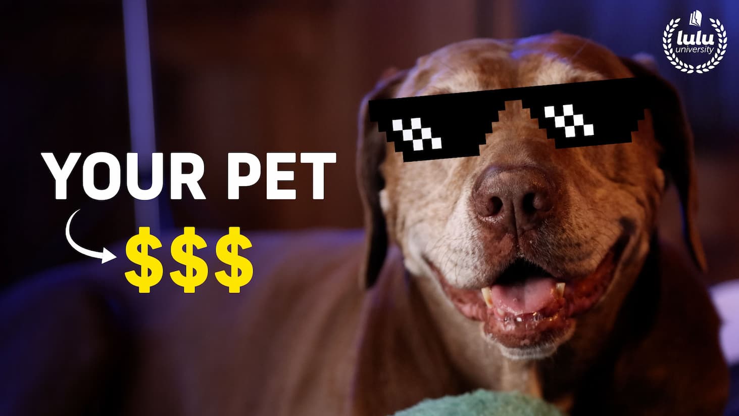 How to Make Your Pet Famous - Chelsea's dog wears sunglasses and is practically smiling 