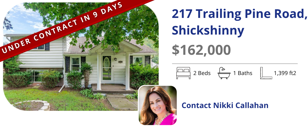 homes for sale in shickshinny