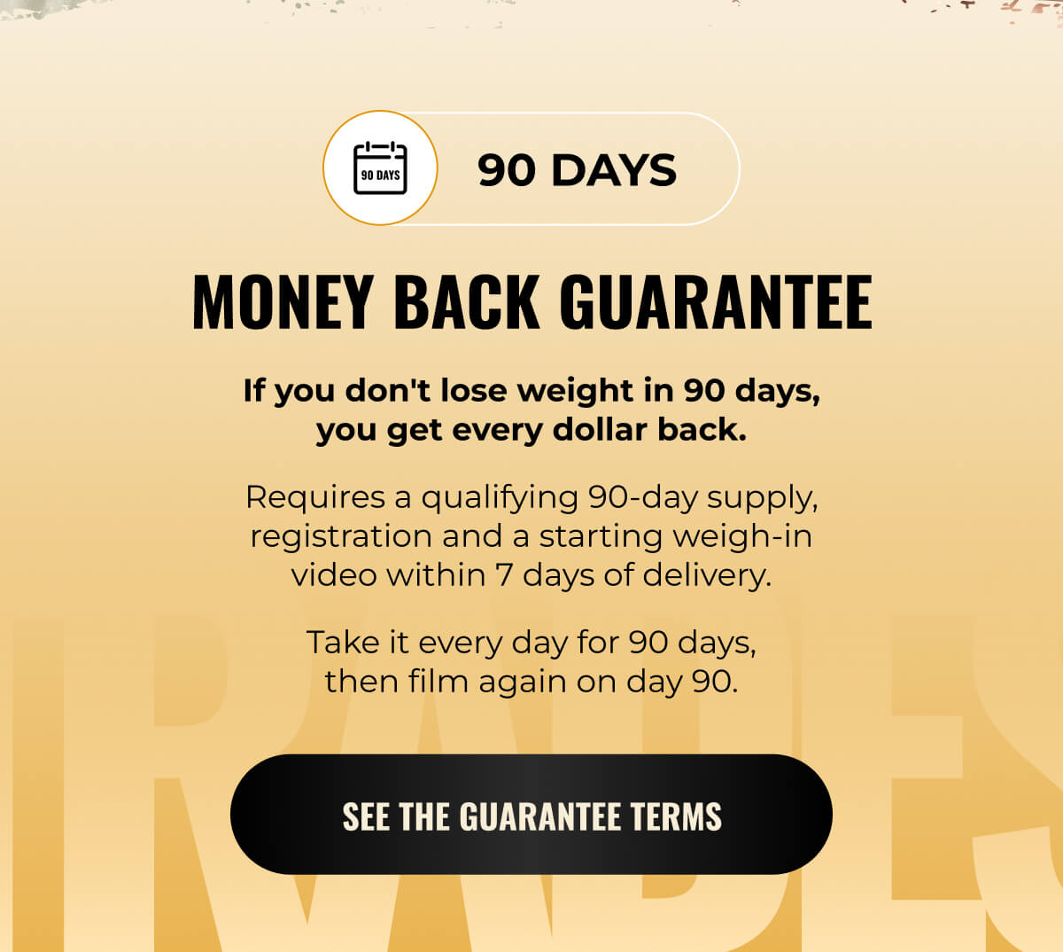 SEE THE GUARANTEE TERMS