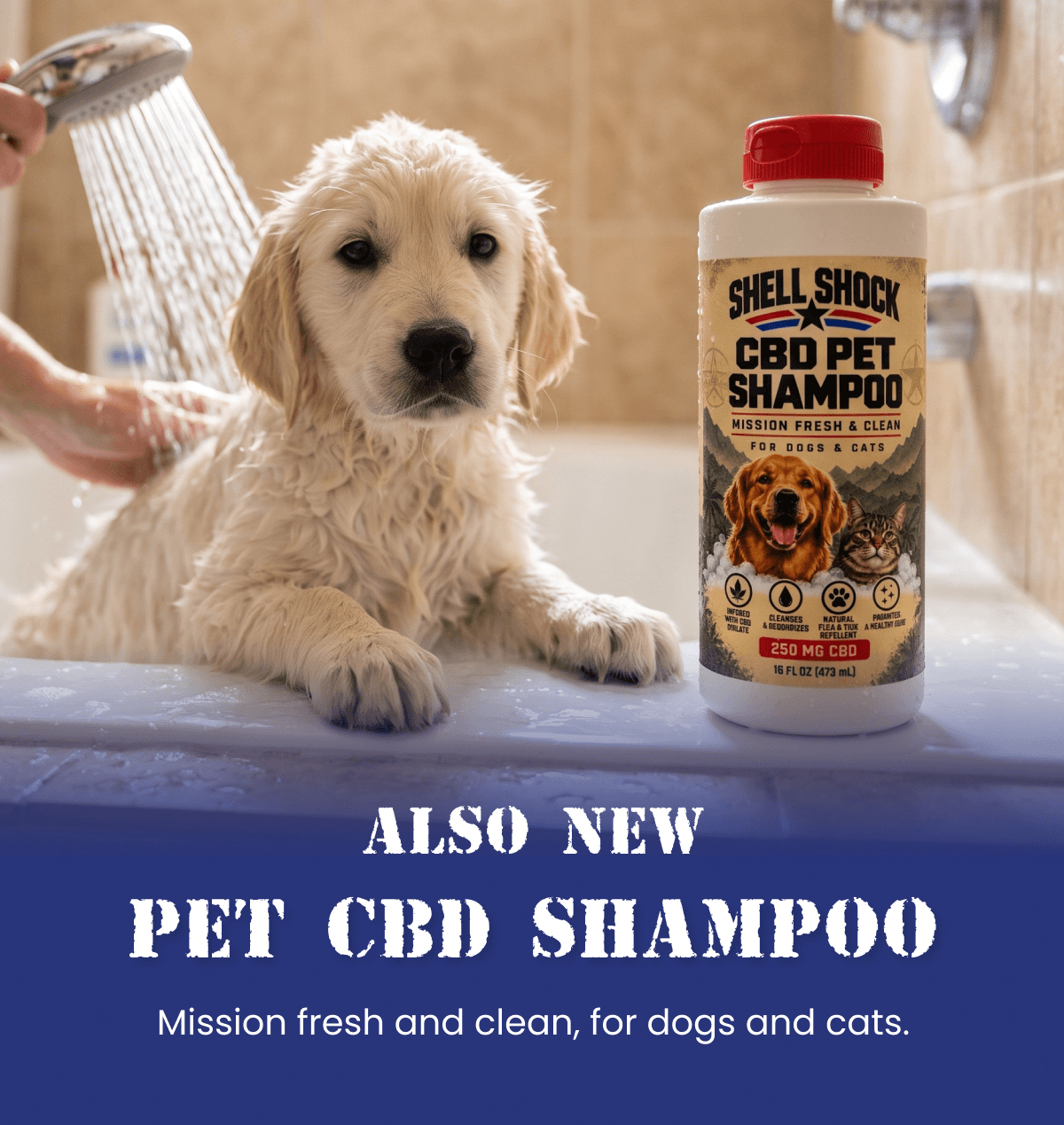 Also New | Pet CBD Shampoo | Mission fresh and clean, for dogs and cats.