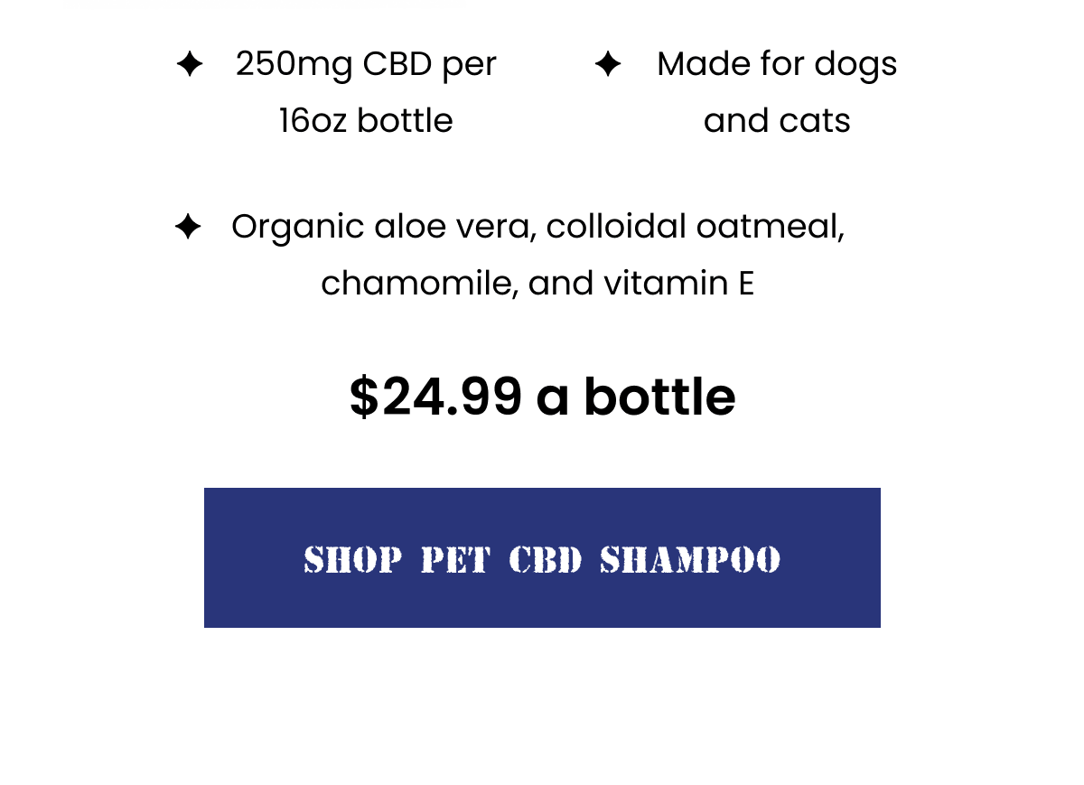 ✦ 250mg CBD per 16oz bottle | ✦ Organic aloe vera, colloidal oatmeal, chamomile, and vitamin E | ✦ Made for dogs and cats | $24.99 a bottle | Shop Pet CBD Shampoo