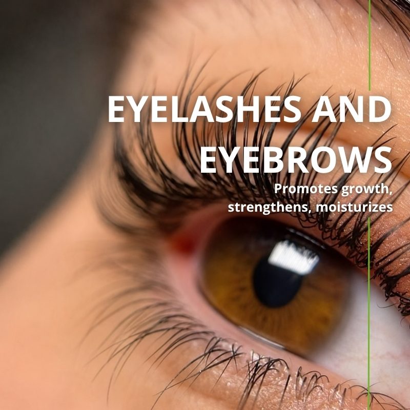 Lashes and brows enhanced with Naturoleum organic castor oil