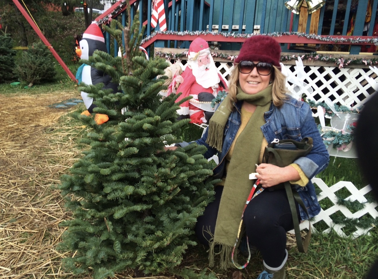 Lindsey choosing a Christmas tree