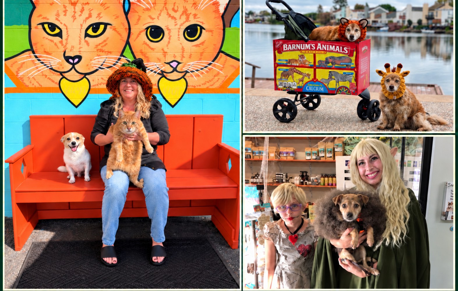 Lindsey and Shinto’s critters celebrating Halloween