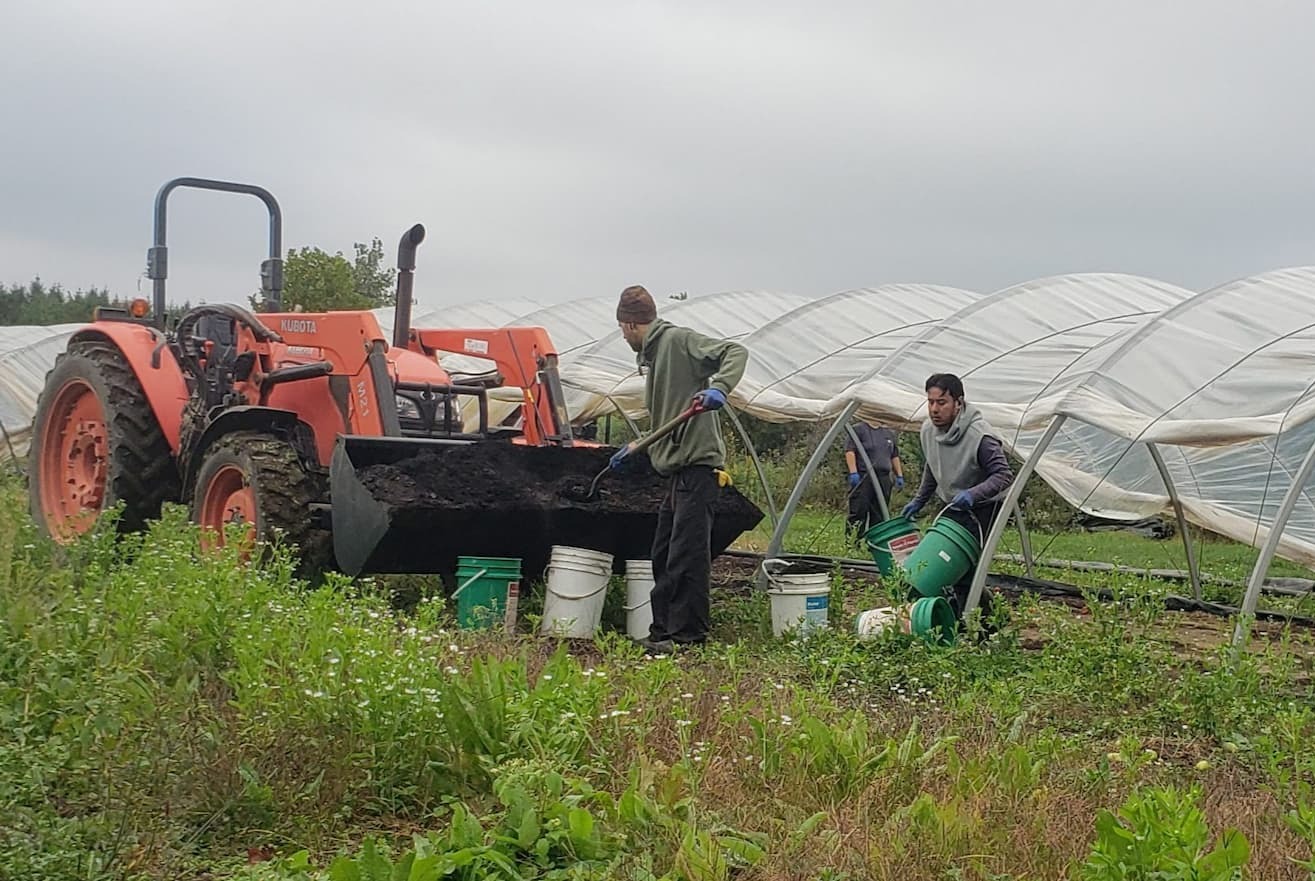 Planting Late-Season Greens
