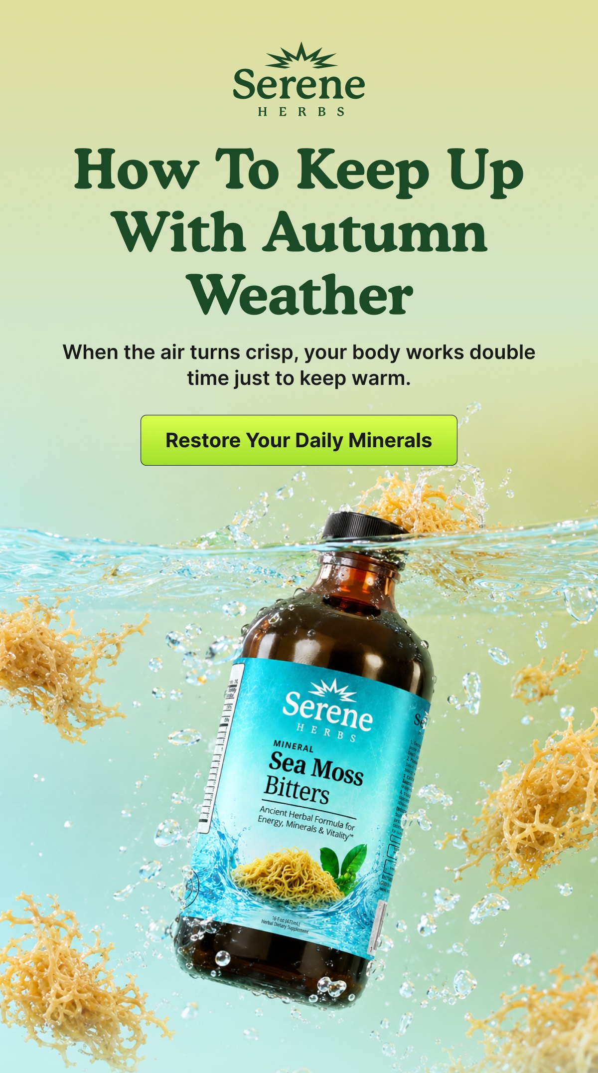 How To Keep Up With Autumn Weather | Restore Your Daily Minerals