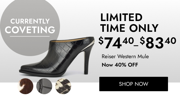 CURRENTLY COVETING LIMITED TIME ONLY $ 35 60 Aloud Ankle Wrap Sandal Now 60% OFF SHOP NOW