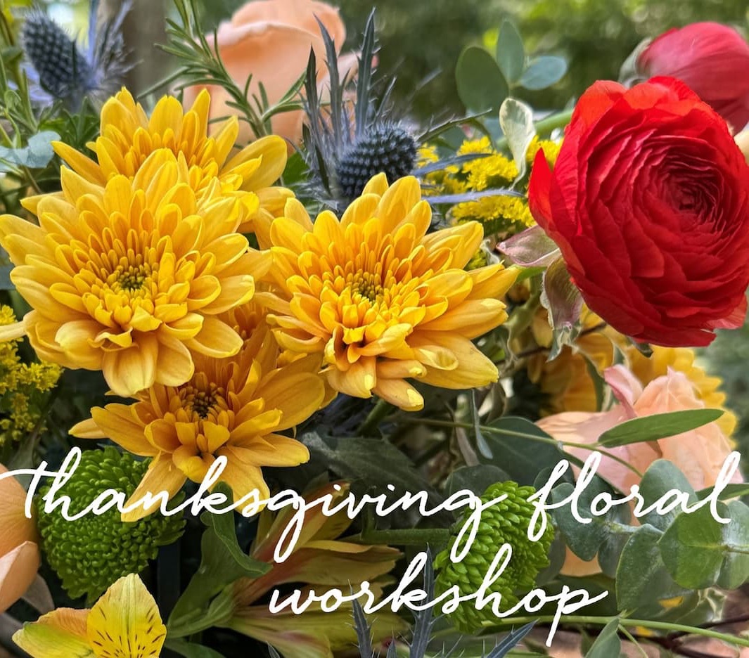 Colorful autumn floral arrangement featuring golden yellow chrysanthemums, red ranunculus, peach roses, blue thistles, and lush greenery, with white script reading “Thanksgiving floral workshop.” Fearrington Village.