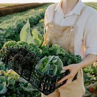 I Discovered I Had Histamine Intolerance —  Here's What I Did To Heal