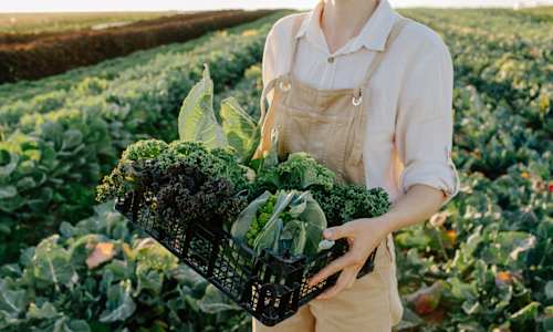 I Discovered I Had Histamine Intolerance —  Here's What I Did To Heal
