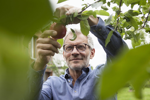 A clearer view of independent aging