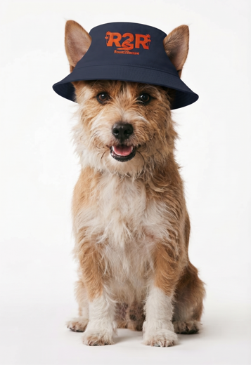 Benny, our smiling terrier mascot wearing his Roam2Rescue hat