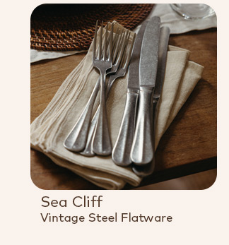 Sea cliff in vintage steel