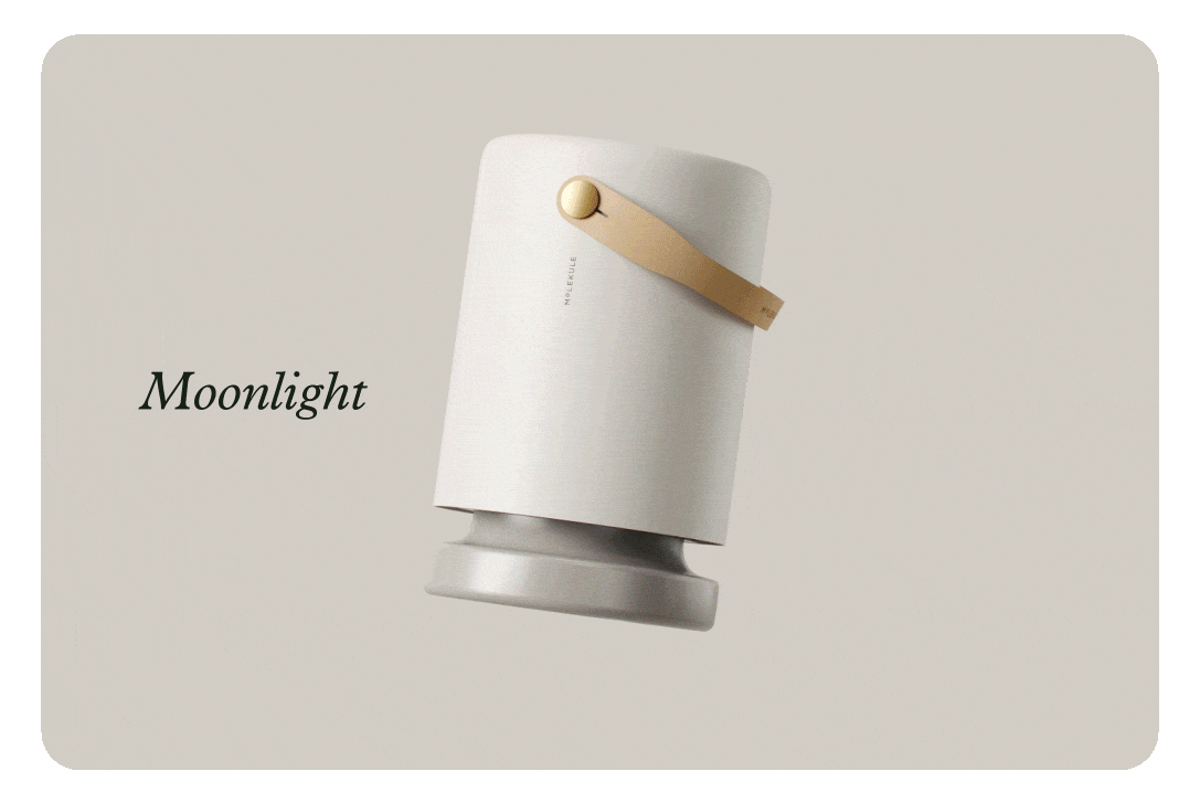 Molekule PECOAir+ in Desert, Fog, and Moonlight