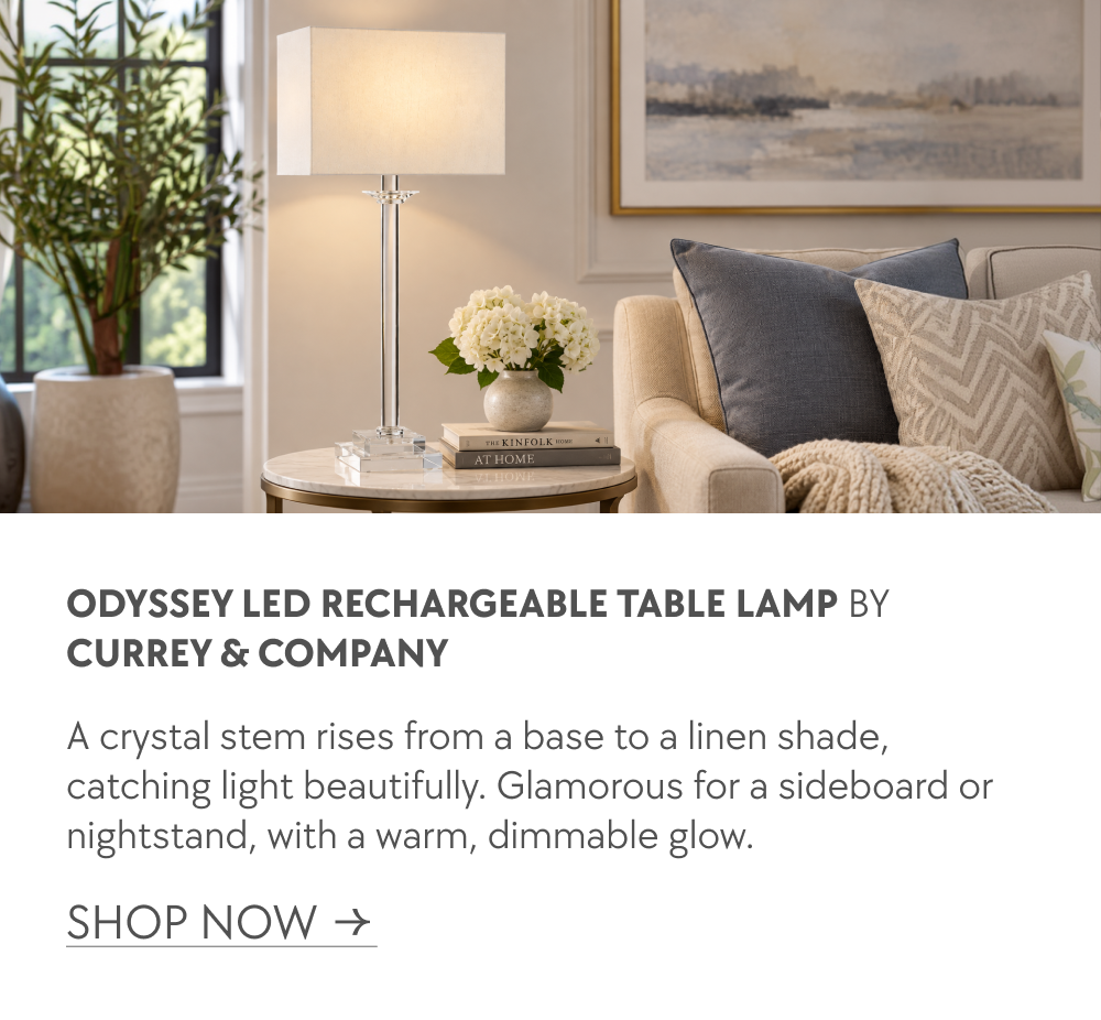 Odyssey LED Rechargeable Table Lamp by Currey & Company
