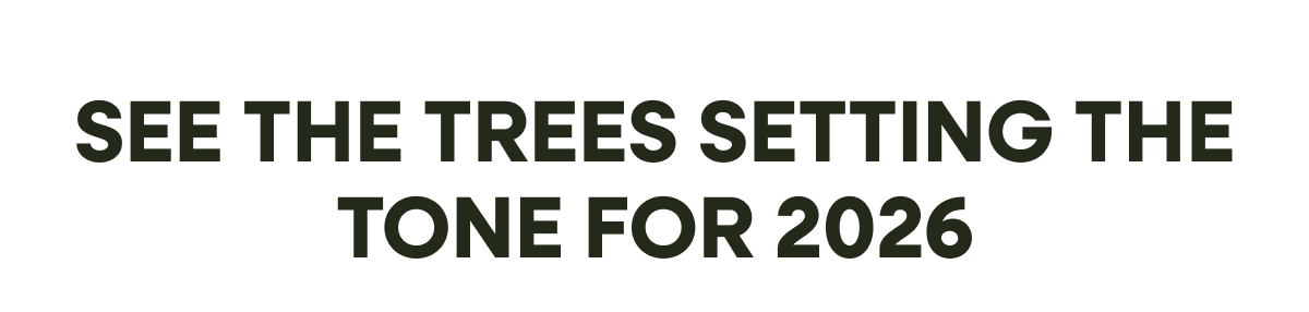 Set The Tone For 2026