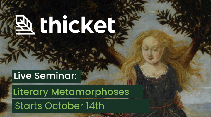 thicket classes
