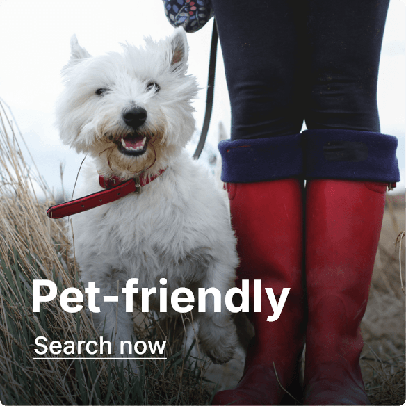 Pet-friendly holidays