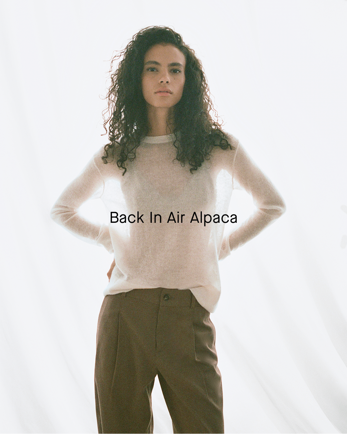 Image | Back In Air Alpaca