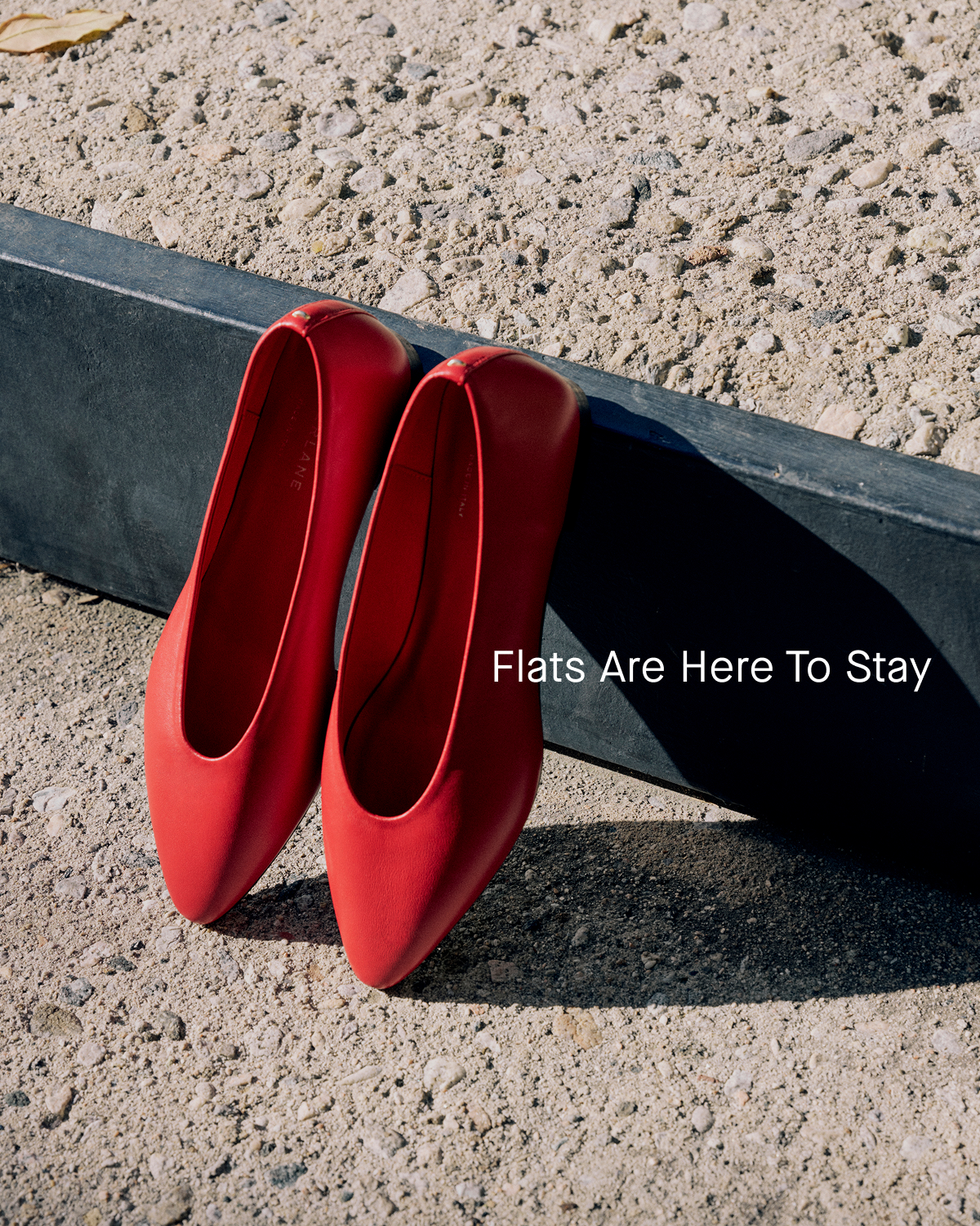 Image | Flats Are Here To Stay