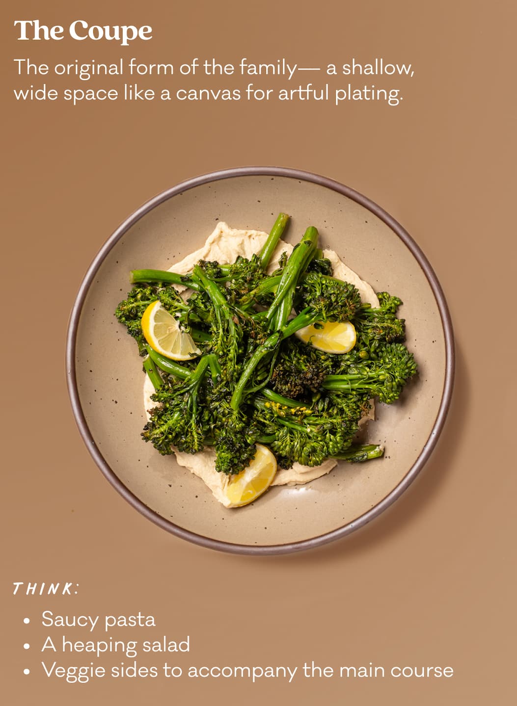 The Coupe - The original form of the family—a shallow, wide space like a canvas for artful plating. Think: Saucy pasta, a heaping salad, Veggie sides to accompany the main course
