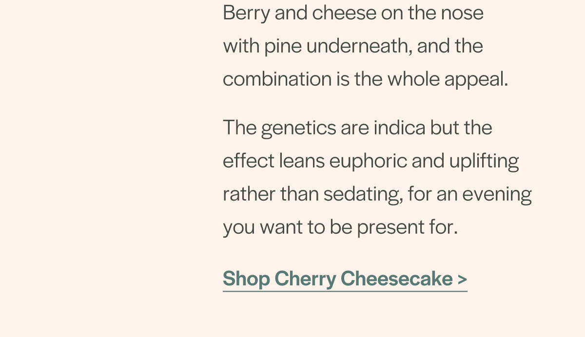 Berry and cheese on the nose with pine underneath, and the combination is the whole appeal. Shop Cherry Cheesecake